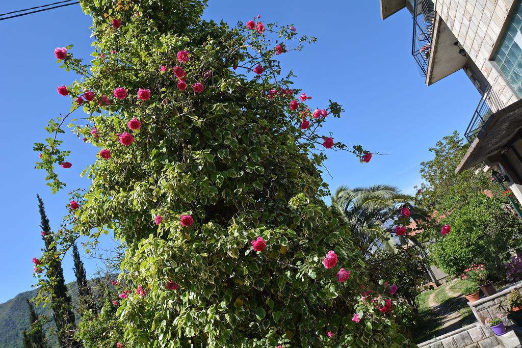 Apartments Dinko Zifra Tivat Kültér fotó
